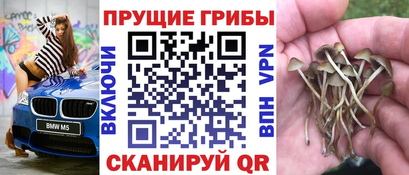 Галлюциногенные грибы Magic Shrooms  Белоярский 